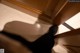 A person standing on a stairwell with their shadow on the floor.